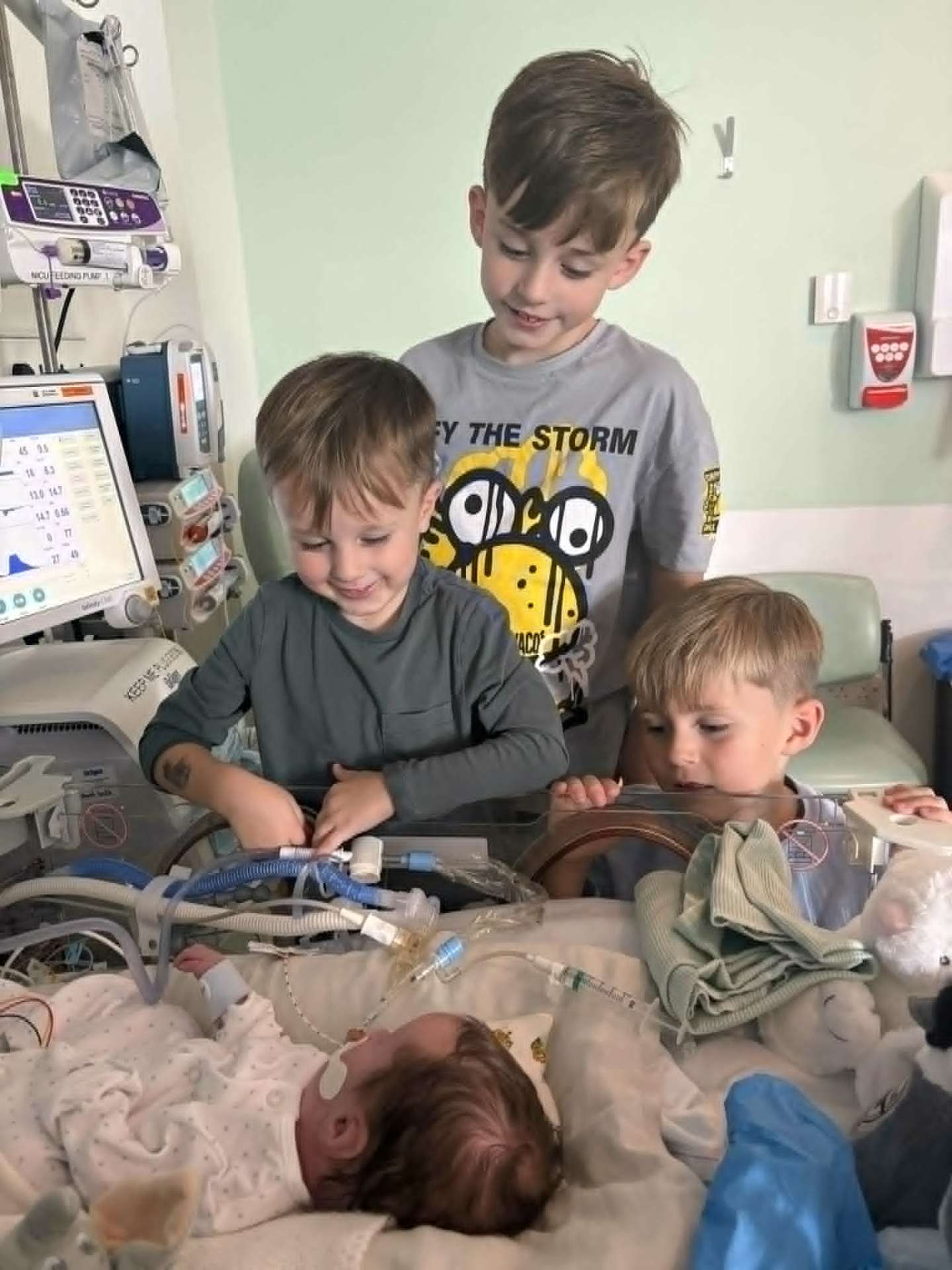 Noah's three older brothers meeting him