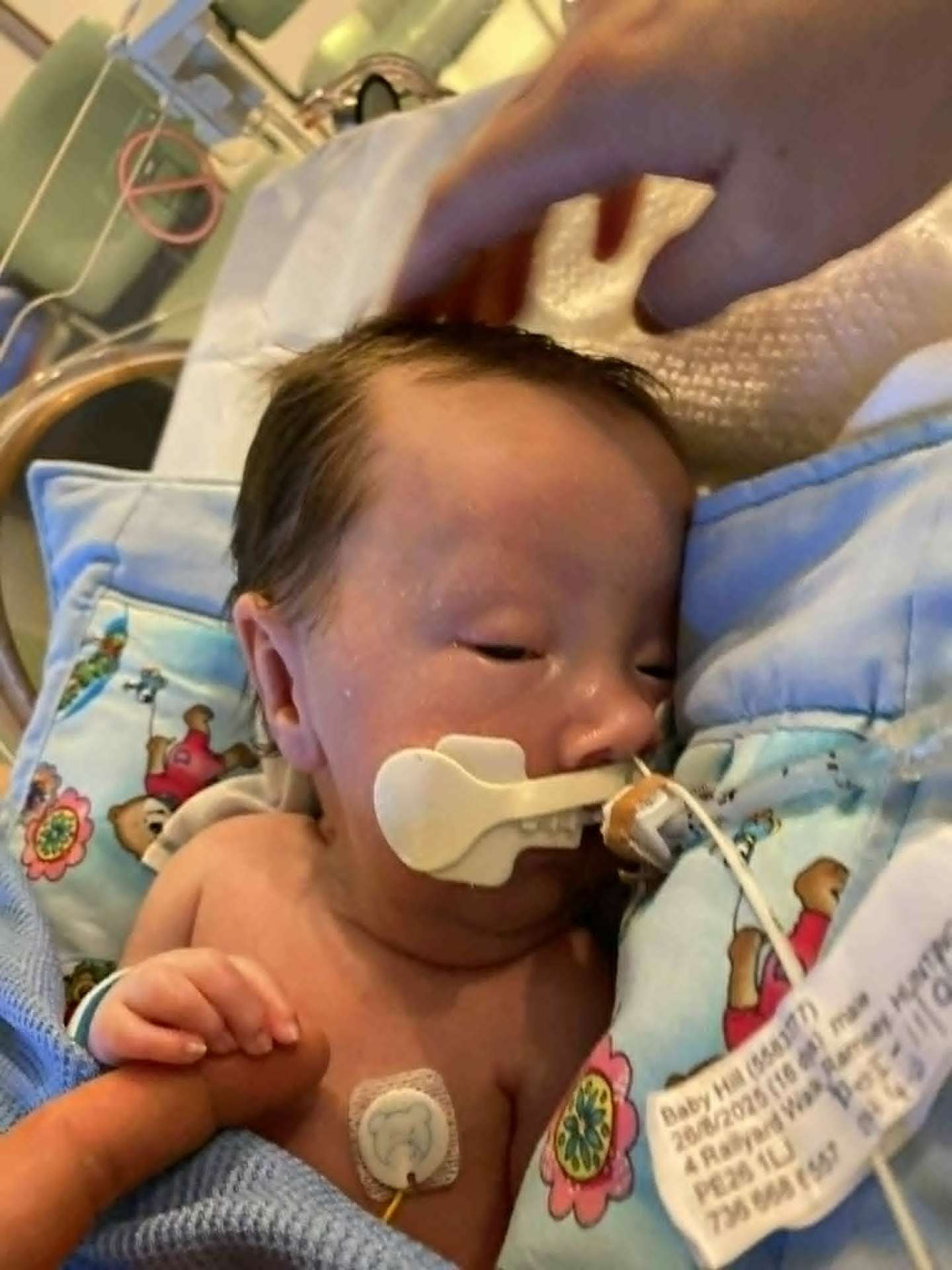 Close-up of Noah's face